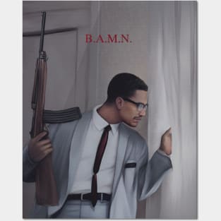 Malcolm Posters and Art